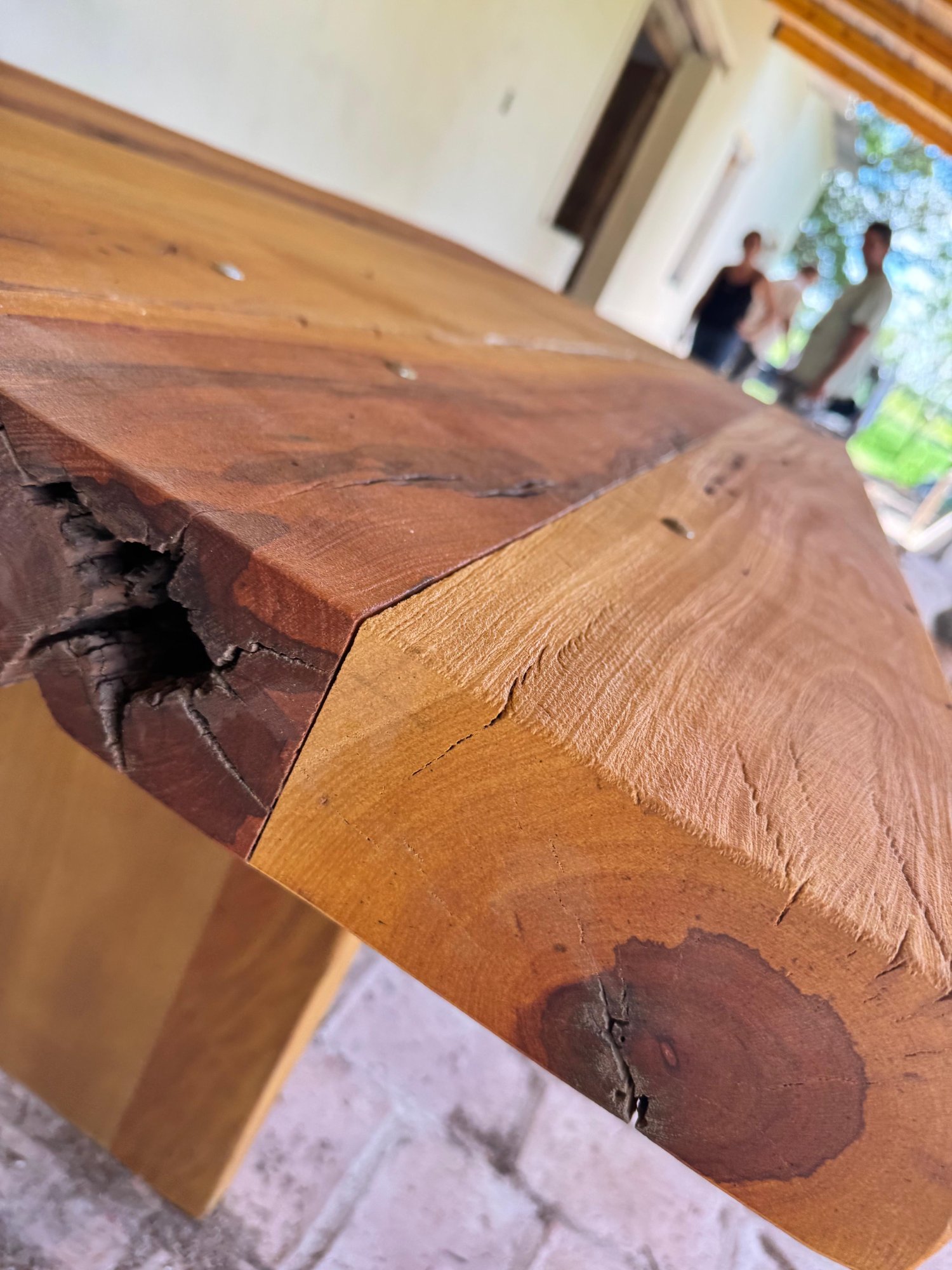 Quebracho Blanco — Aspidosperma quebracho-blanco en su hábitat natural